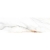 Colorker Calacatta Gold White