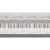 Colorker Uniq Belly