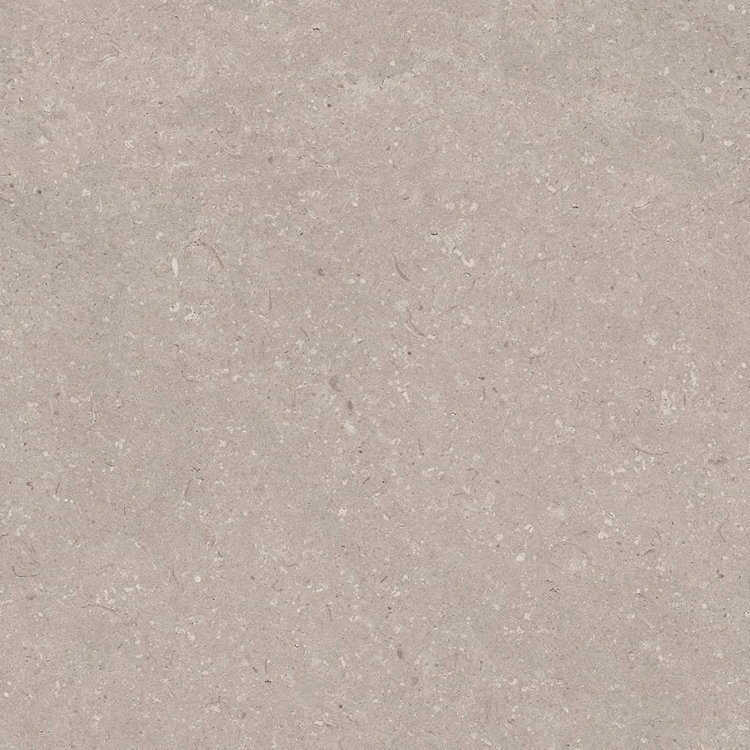Porcelanosa Coral Topo L 80x80