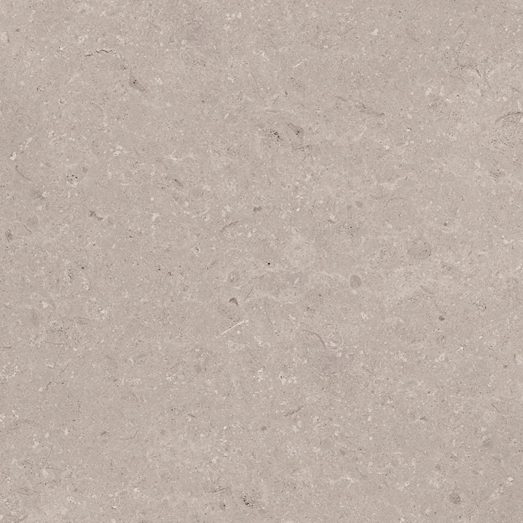 Porcelanosa Coral Topo L 120x120