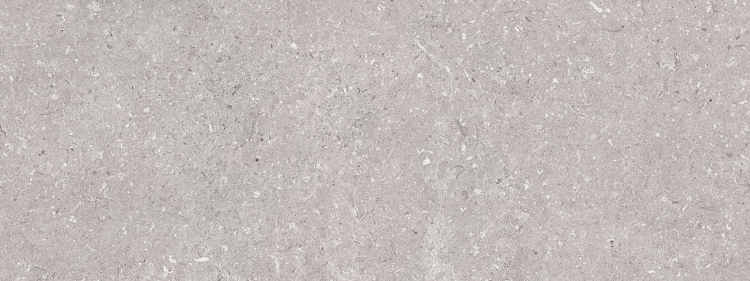 Porcelanosa Coral Acero 45x120