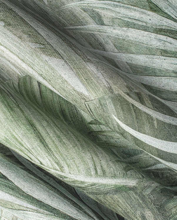 Wonderwall Areca fototapeta duże tropikalne liście zielone