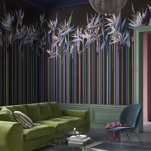 Wonderwall Annabel fototapeta tęczowa strelicja królewska