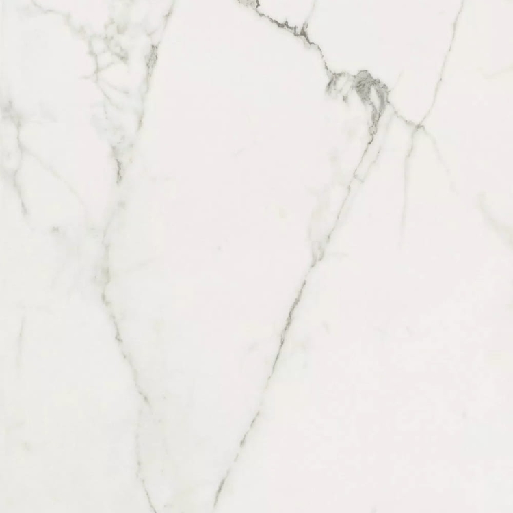 Contemporary Design Timeless Calacatta