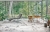 Florim Luxury Design Les Origines Origines Argent