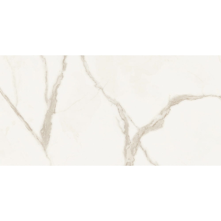 Alfalux Canova Arni Lucido 60x120