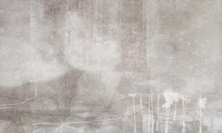 WallArt Sonitus delikatna abstrakcyjna fototapeta na wymiar indywidualny