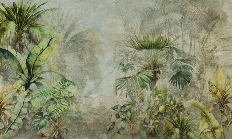WallArt Silva fototapeta roślinna tropikalny las