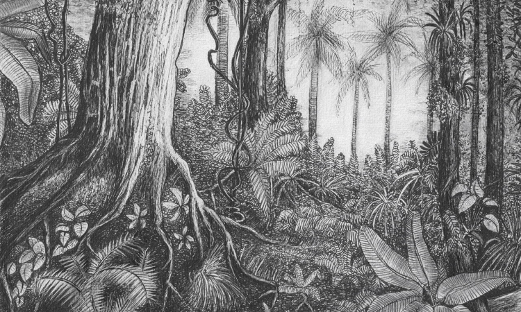 WallArt Ness krajobraz mroczny las - fototapeta