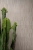 Marazzi Naturalia Beige Struttura Codex 3D