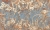 Marigold-35-0303-04