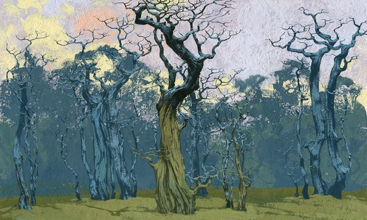 Fangorn-35-0558-03.jpg