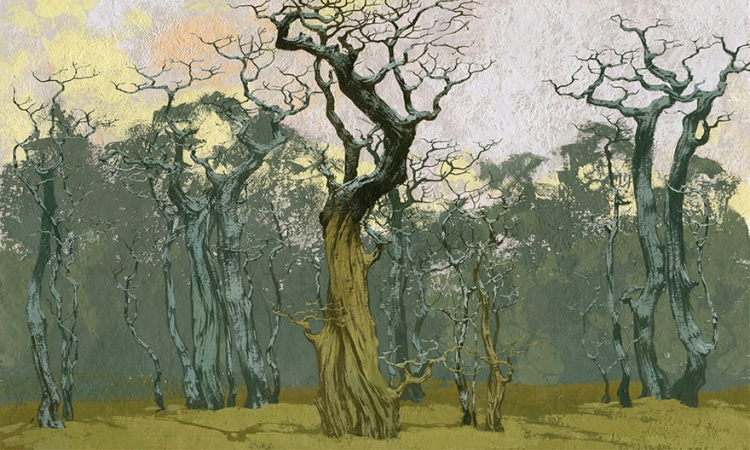 Fangorn-35-0558-08.jpg