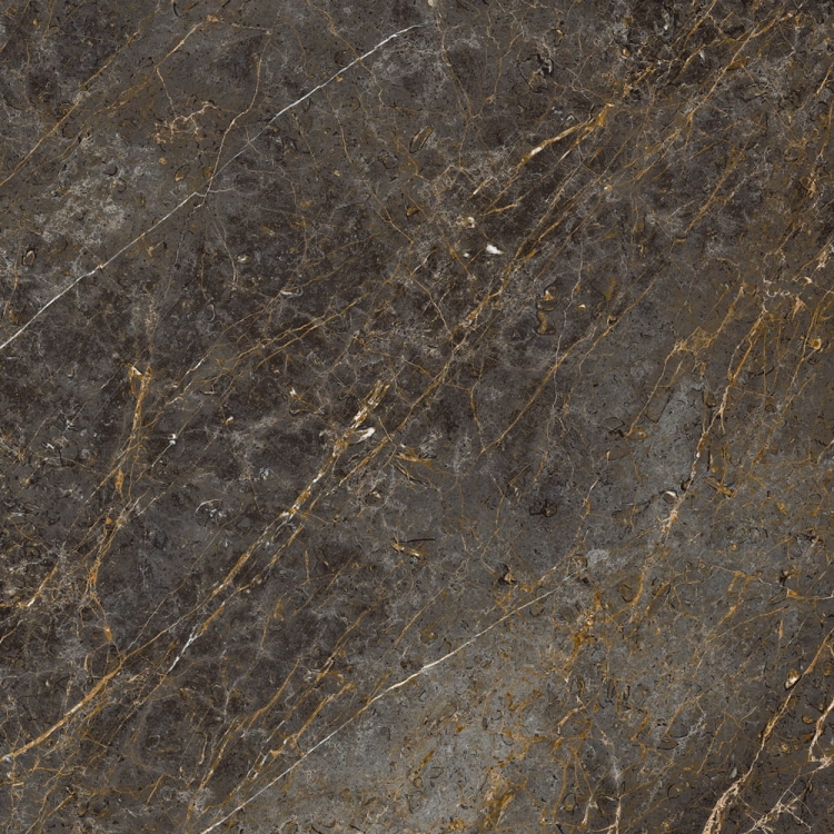 LaFaenza Aesthetica Golden Black