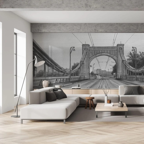 Bridge fototapeta na wymiar Most Grunwaldzki we Wrocławiu