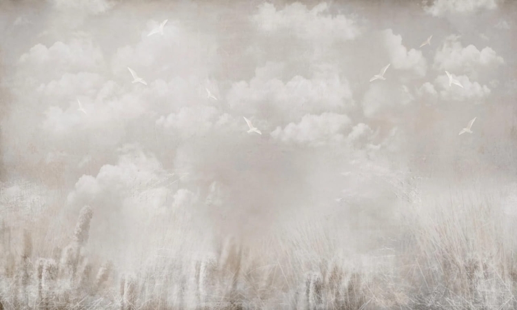 Wall Art Epos fototapeta na wymiar letnie niebo nad łąką