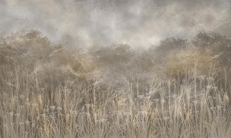 Wall Art Tatarac beżowa melancholijna fototapeta na wymiar wysoka trawa