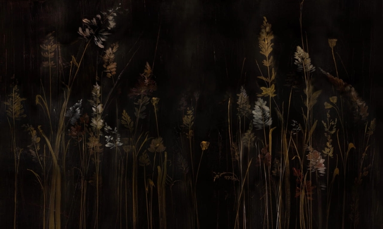 Wall Art Calamus ciemna roślinna fototapeta na wymiar wysokie trawy