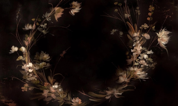 Wall Art Virtus ciemna roślinna fototapeta na wymiar wysokie trawy