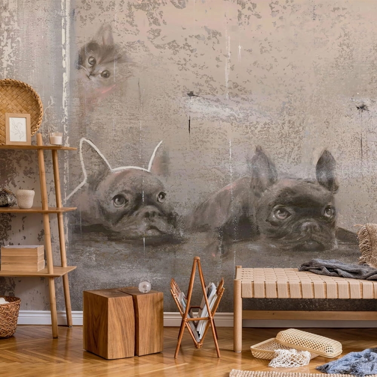 Wall Art Siesta fototapeta na wymiar z motywem zwierzęcym buldożki