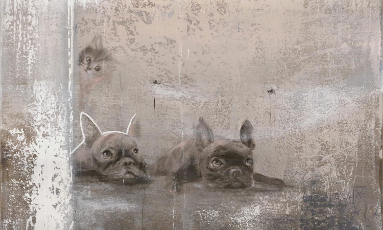 Wall Art Siesta fototapeta na wymiar z motywem zwierzęcym buldożki