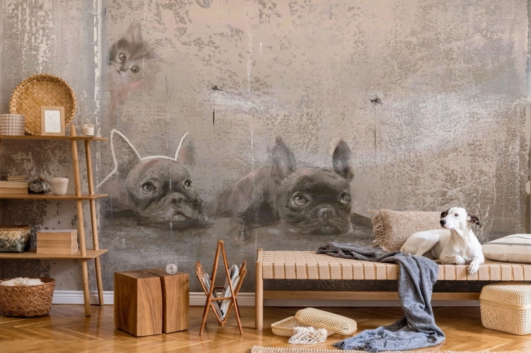 Wall Art Siesta fototapeta na wymiar z motywem zwierzęcym buldożki