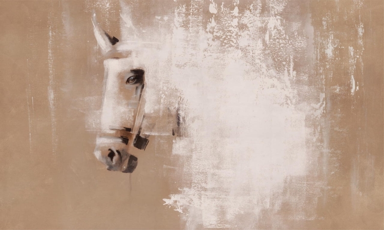 Cavallo beżowa nowoczesna fototapeta na wymiar z motywem konia