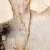 Marazzi Grande Marble Look Patagonia