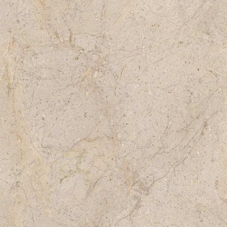 Porcelanosa Dorcia Marfil