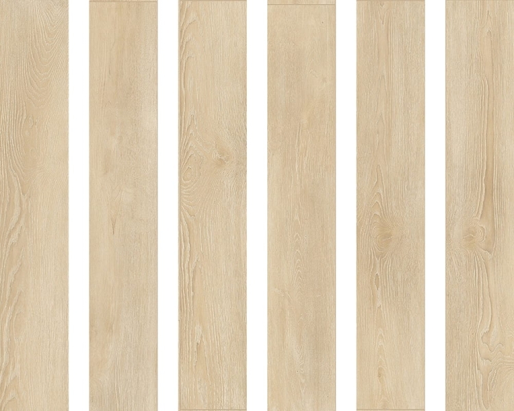 Alfalux Arbor Betulla