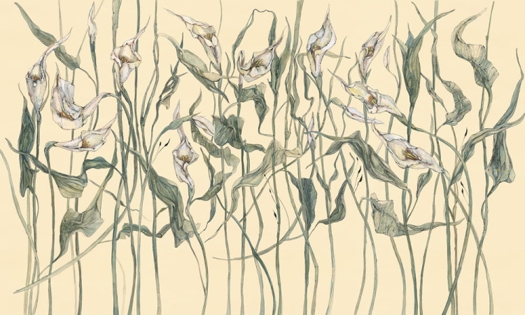 Amanda 35 0324 00-31