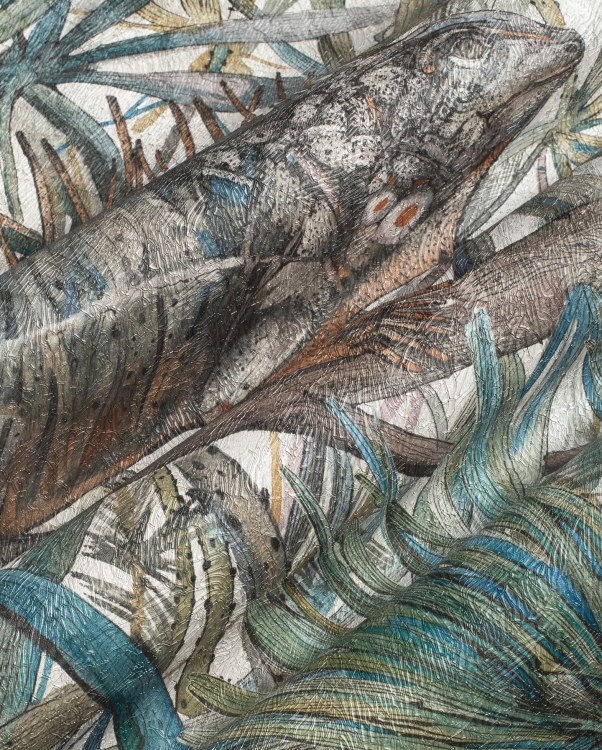 Komodo 35 0566 01 tekstura