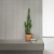 Marazzi Room Wall Grigio 3D Match