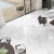 Fanal Stardust White
