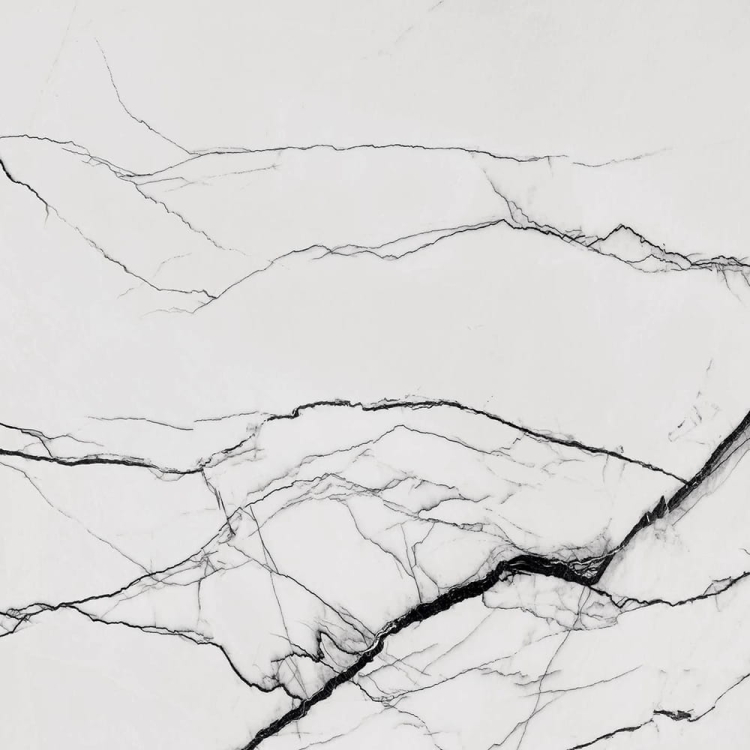 Floor Gres B&W Marble Breach