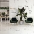 Fanal New Ice White