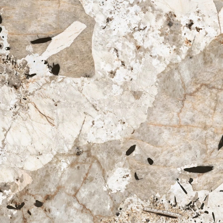 Creative Design Nature Mood Tundra