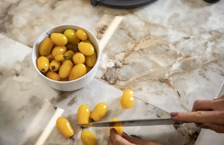 Creative Design Nature Mood Tundra