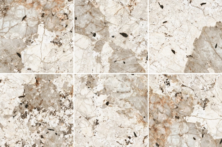 Creative Design Nature Mood Tundra