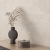 Colorker Domus Cream Lines