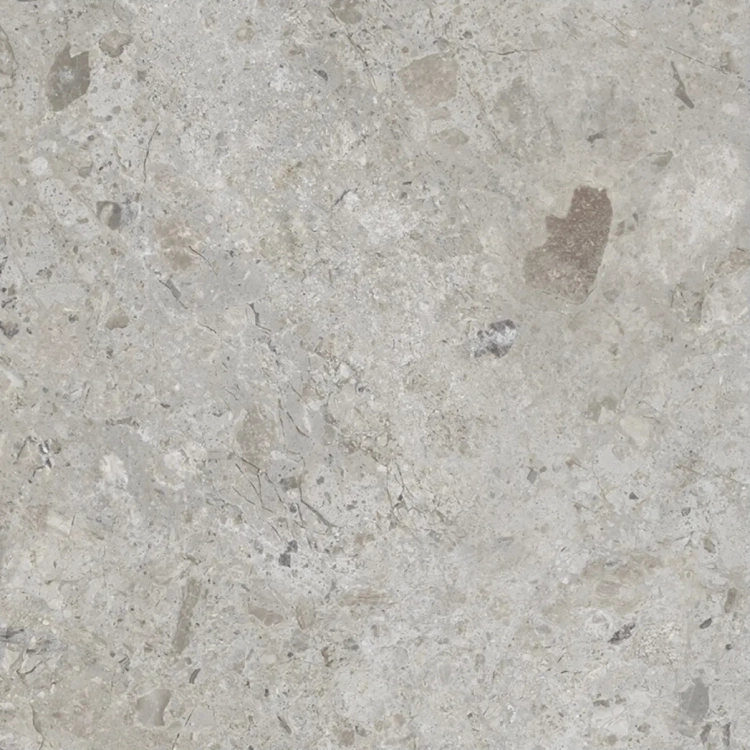 Ibero Ambrosia Grey