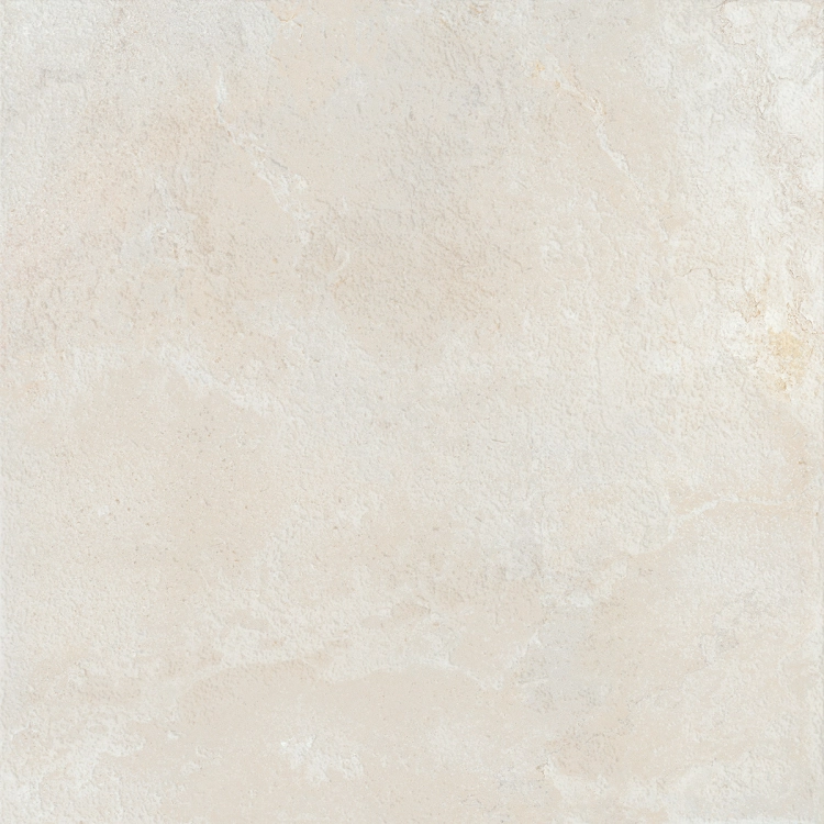 Colorker Elements Bone