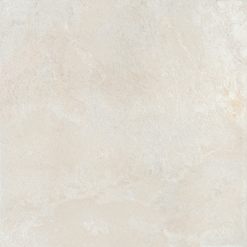 Colorker Elements Bone