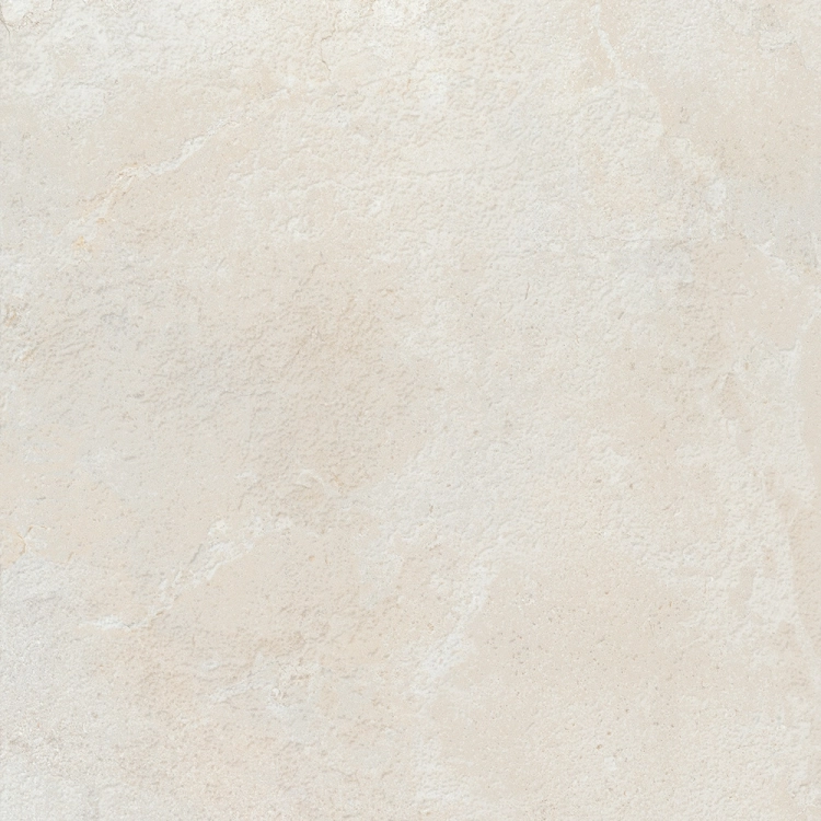 Colorker Elements Bone