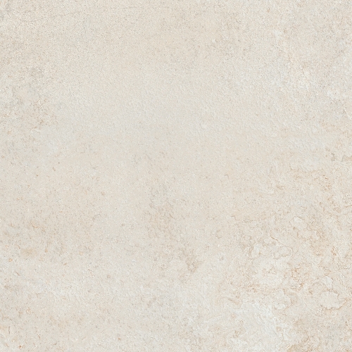 Colorker Elements Bone