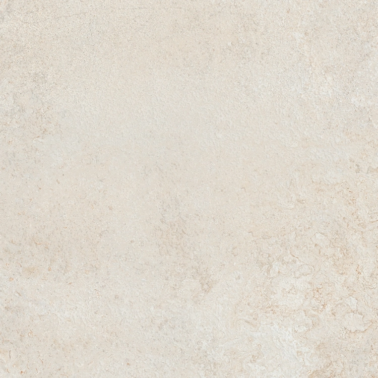 Colorker Elements Bone