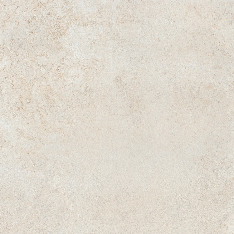 Colorker Elements Bone
