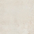 Colorker Elements Bone