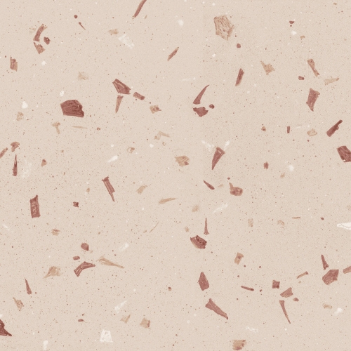 Dune Fragmenta Coral