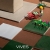 Vives Root Protos Green